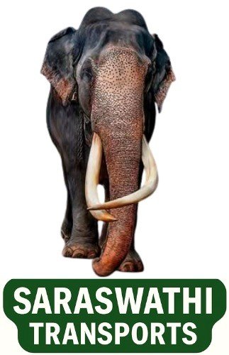 Professional transport team